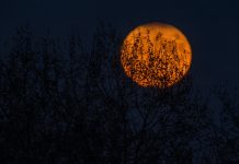 68 Citate De Noapte Buna scurte pentru un inceput de saptamana optimist