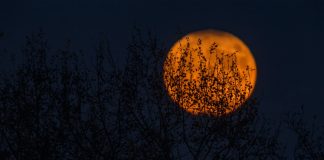 68 Citate De Noapte Buna scurte pentru un inceput de saptamana optimist