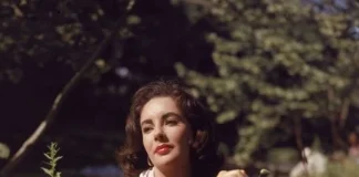 Liz Taylor