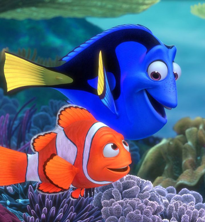 gasirea pestelui clovn pe Nemo inotand