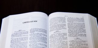 Anonim – Cartea lui Iov