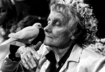 Astrid Lindgren – Pippi Longstocking