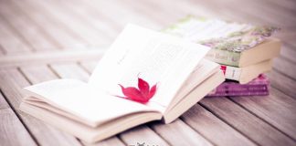 Cele mai bune cărți pentru adolescenți ale anului