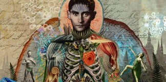 Franz Kafka – Povestiri complete