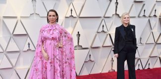 Gala Oscar 2019: cine au fost marii favoriti?