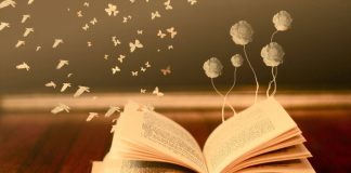 Recenzie de carte: Inger ispititor de Julia London