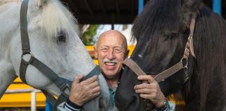 Top 12 seriale asemanatoare cu serialul „Incredibilul Dr. Pol”